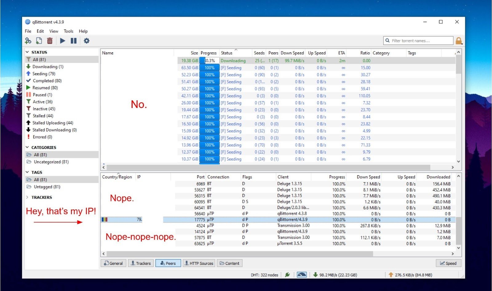 A screenshot of a torrent client with the user's IP address openly on display.