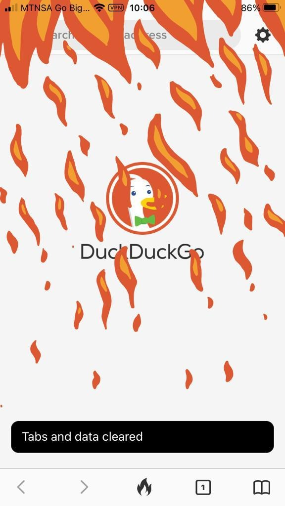 iOS screengrab of DuckDuckGo's Burn feature in action