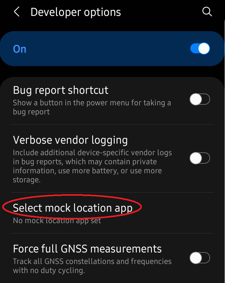 Screenshot of Android Developer options
