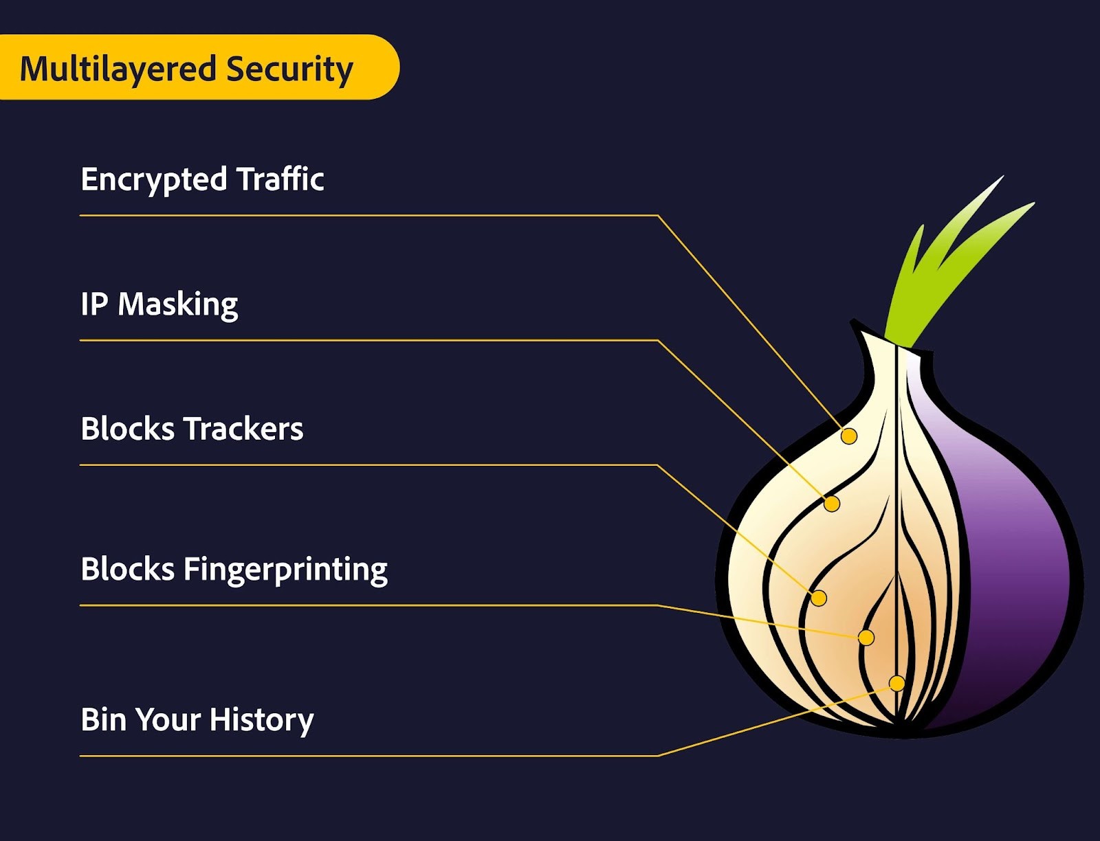 A detailed breakdown of each layer of the Tor network using a drawing of an onion.